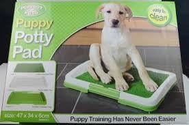 grass potty mat