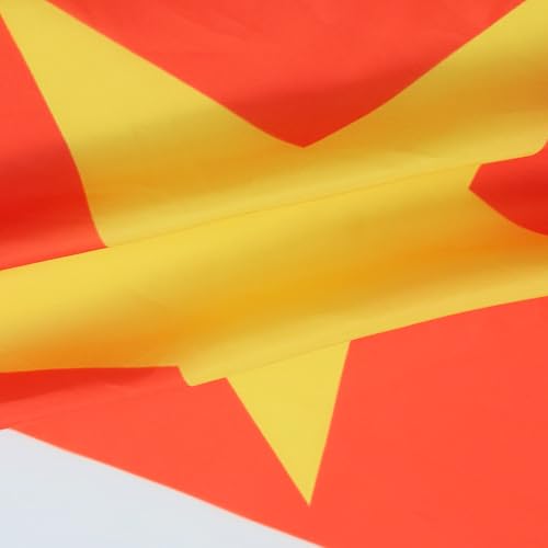 Image of AZ FLAG - Suriname Flag - 2x3 Ft - 100D Polyester Surinamese Banner with Two Metal Grommets - Fade Resistant - Vivid Colors - 2' x 3' Feet - 90x60 Cm