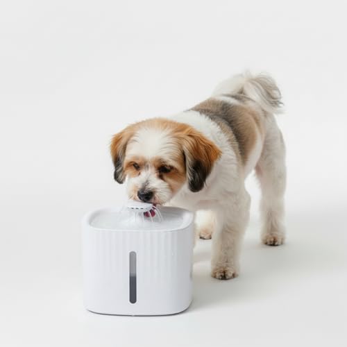 Image of Amazon Basics 3L Pet Water Fountain for Cats & Dogs | with LED Light | USB Powered | Dual Flow | Silent Pump | BPA-Free Food-Grade Material | White