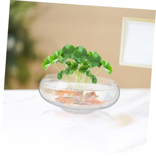 Vase en verre pour plantes vertes et décoration de table chaleureuse - 8