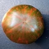 Negro y Brown BoarTomato! ¡RARO! 20 semillas! Vendemos más de 200 clases de tomates!