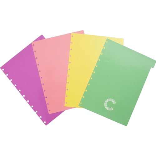 Divisória grande 4 abas pastel CIDG4003 Caderno Inteligente