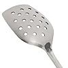 Lindy's Stainless Steel Perforated Stir Spoon, Silver (SCSP) #5