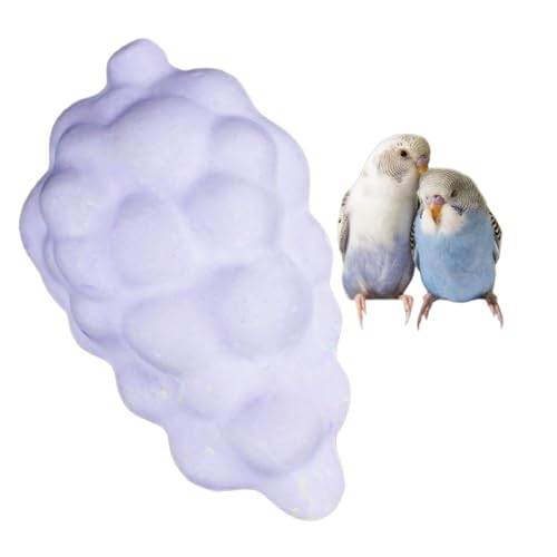 UNMULFC Bird Parrot Calcium Teeth Mouth Molar Grinding Stone Grape Cockatiel Conure Lovebird Budgerigar Parakeet Parrot Supplies Parrot Accessories (Grape)