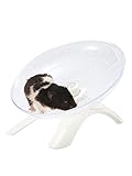 rueda para hamster precio Superficie sólida y antideslizante que es segura para los pies de las mascotas y fácil de limpiar y resistente a los olores