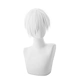 COOLSKY Cells At Work White Blood Cell Anime Cosplay Wig Short Straight Synthetic Hair 28cm (Unisex)