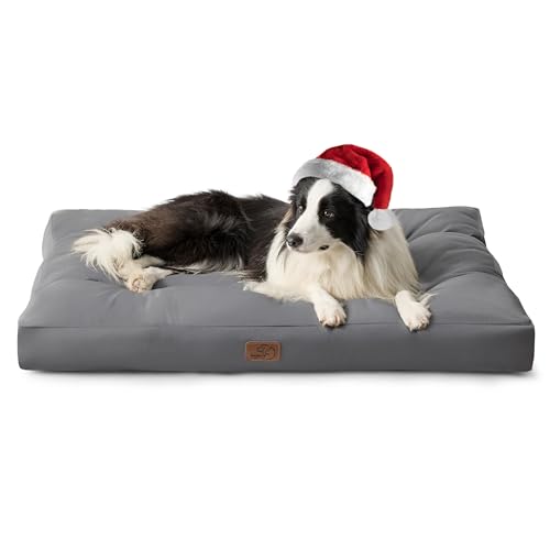 How To Clean Fluffy Dog Beds