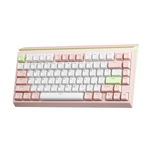 Image of AUSDOM U75 Silent Wireless Mechanical Keyboard, Hot Swappable 75% Creamy Gaming Keyboard with 2.4GHz /USB-C /BT5.0,Shine Through PBT Keycaps, RGB Backlit Custom Keyboards for Win /Mac /PC (Silent Version)