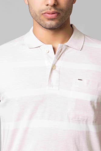 Image of PRORIDERS Half Sleeve Cotton Blend Fabric Collared Regular Fit Men's Polo Striper Tshirt with Pocket for Casual wear