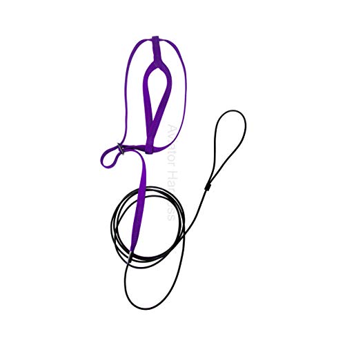 Image of The AVIATOR Pet Bird Harness and Leash: Medium Purple