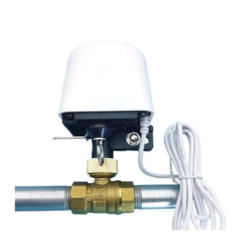 Vanne d'eau intelligente Tuya WIFI pour stopper les fuites par contrôle d'automatisation