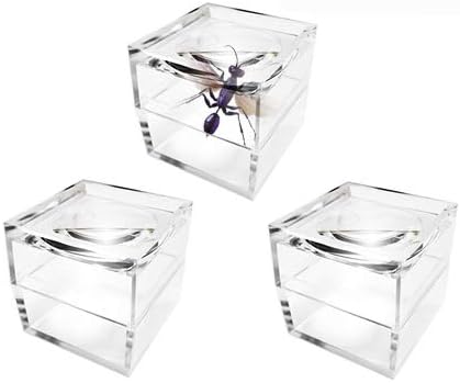MagniPros Pack of 3 Magnifier Box Bug Viewer Magnifies up to 5X(500%) with Crystal Clear Image -Entomologists - Hobby
