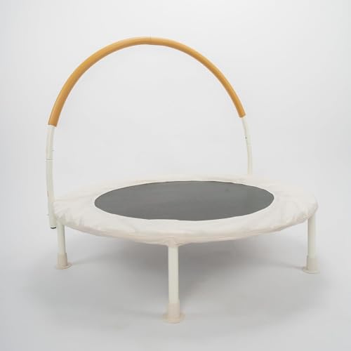 HomeStock Antique 36 inch Indoor and Outdoor Trampoline with Bungie Cords, Powder Coated Rust Resistant, Perfect for Young ren
