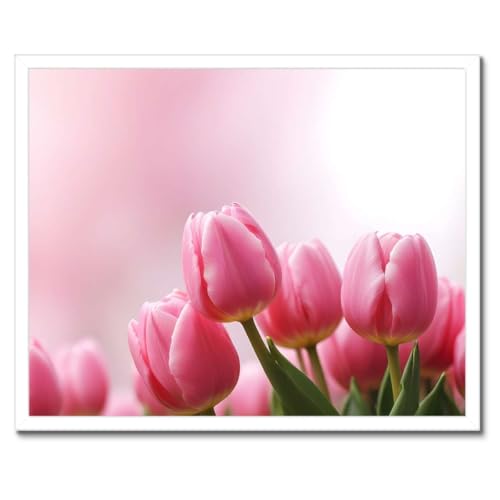 Poster tulipes roses de qualité supérieure cadre noir mural 50 x 40 cm