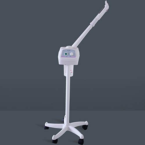 Vapeur pour le visage Aromathérapie Ion