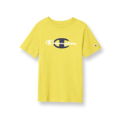 Image of Champion Men's Heritage Short Sleeve Tee, Men's T-Shirts, Vintage Shirts, Men's Tee Shirts, Graphics