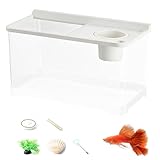 xowwyue Pecera Mini para Peces Betta con 3 Luces Colores - Pecera De Escritorio,Acuario Hidropónico para Decoración De Mesas En Espacios como Hogar Oficina Entrada Dormitorio