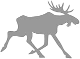 Samunshi