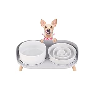Elevated Slow Feeder Dog Bowls – Ceramic Food and Water Bowl Set with Stand – Raised Pet Dishes for Small and Medium Sized Dogs