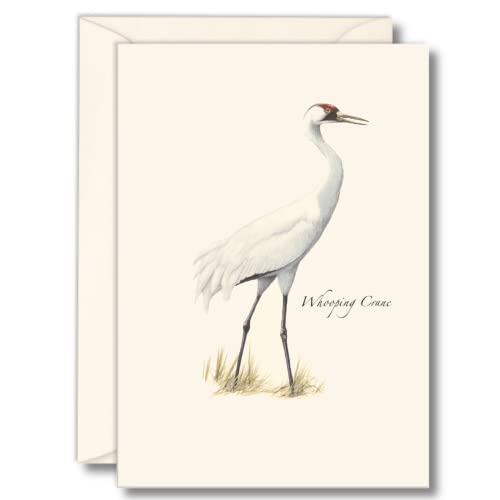 Image of Earth Sky + Water - Whooping Crane Notecard Set - 8 Blank Cards with Envelopes