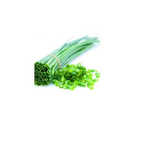 Herb - Chives Garlic- Large Leaved