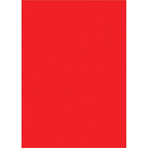 タカ印 ケイコーポスター 13-3171 厚口 B5判 赤