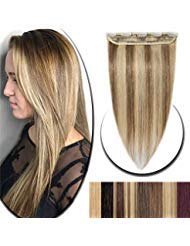 16 Human Hair Clip in hiGHLIGHT 12613