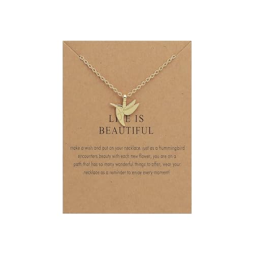 AILUOR Collar de sol Cadena de clavícula collares simples para mujeres Sunshine Mariposa Libélula Colibrí Hoja Collar con tarjeta de mensaje Amistad collar delicado para mujeres (Colibrí)