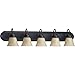Quorum International 5094-5 36" Width 5 Light Bathroom Vanity Light, Old World