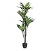 Vickerman Artificial Real Touch Dracaena Tree, 5 Branches per Pot with 68 Leaves, 60