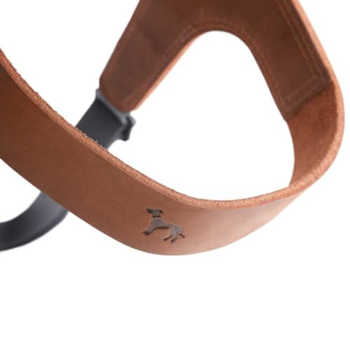 Hunter Hundegeschirr DIMARO, Farbe: Cognac, weiches & Robustes Rindsleder, hervorragende Passform, leicht anzulegen, stufenlos verstellbar, ideal für Welpen & kopfscheue Hunde, Größe: S-M