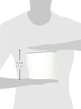 Catit Design Senses Fountain with Water Softening Cartridge, 3L,White