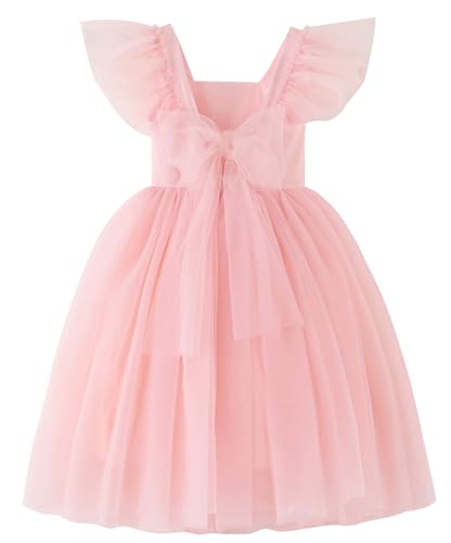 BGIRNUK Baby Girls Ruffle Sleeve Tutu Dress Toddler Tulle Flower Girl Dresses 751 Pink 3T