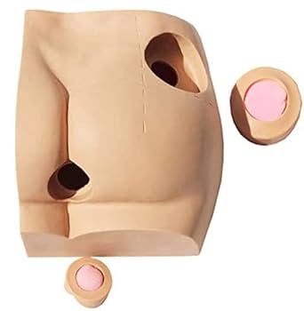 筋肉反射応用治療学 楽天市場】久光製薬 フェイタス メディカル サポーター 足首用 L