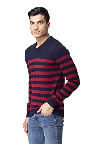 Image of Allen Cooper Strips Sweater for Men