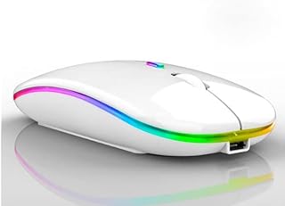 IRNAZCO Wireless Mouse Rechargeable Gaming Mouse Wireless for Laptop Computer PC Office Home Work, Distance10m Slim Silent 2.4G Cordless Mouse 800, 1200, 1600 DPI, with USB Charging Cable