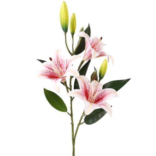 S     VNt[ 3 lHϗtA ͂Ȃ   Be j v[g ԑ (CgsN) [sAi]