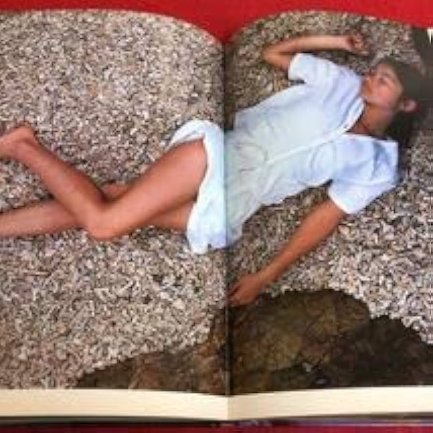 B4 手塚さとみ写真集 少女だった 沢渡朔全撮影 写楽館1 昭和56年