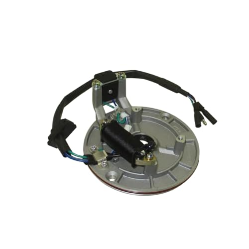 Stator de remplacement YX 140cc - Plateau d'allumage pour dirt bike Apollo et SDG
