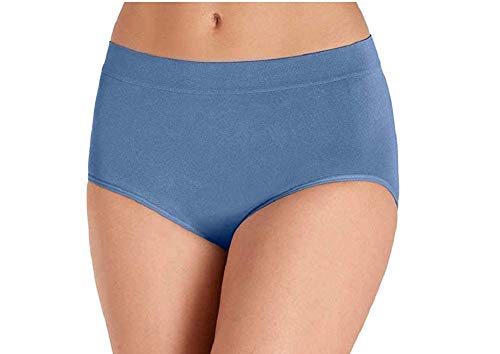 Image of Carole Hochman Women's Underwear Silky Soft Seamless Full Coverage Modern Brief Panties 5 Pack Multipack Regular & Plus Sizes