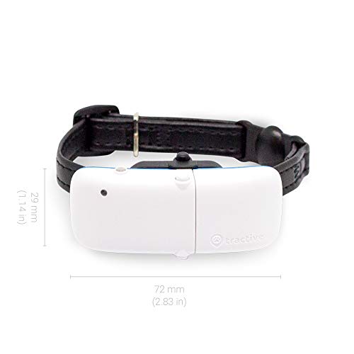 Tractive GPS Collar for Cats, Tracker with Unlimited Range, Activity
