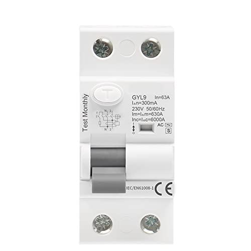 RCD RCCB disjoncteur électromagnétique ELCB type AC-S temporisé 2P 63A 300mA retard GYL9