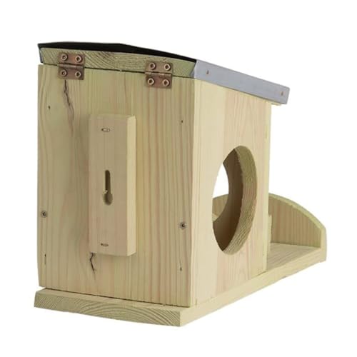 Mangeoire écureuil bois de qualité supérieure pour aménagement durable - 8