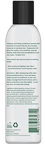 Aweganics Tea Tree Mint Conditioner - Inspiring Natural Aromatherapy Invigorating Peppermint Conditioners - Cooling, Cleansing, Moisturizing - Sls, Paraben & Cruelty-Free, Color Safe #TOP6