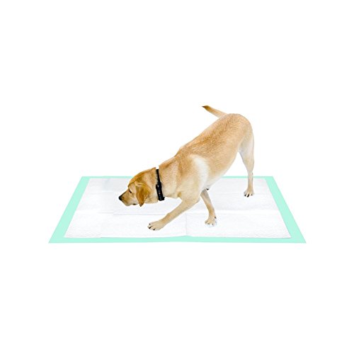 Thxpet Super Absorbent Puppy Training Pads #TOP20