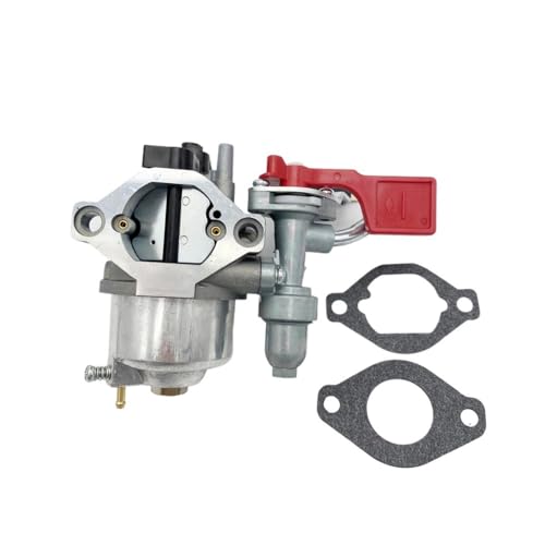 Carburateur de moteur 84004885 haute précision anti-calage 799060