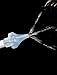 HCI7295 - OtoClear Spray Wash Kit 5 OtoClear Tips 1 Basin