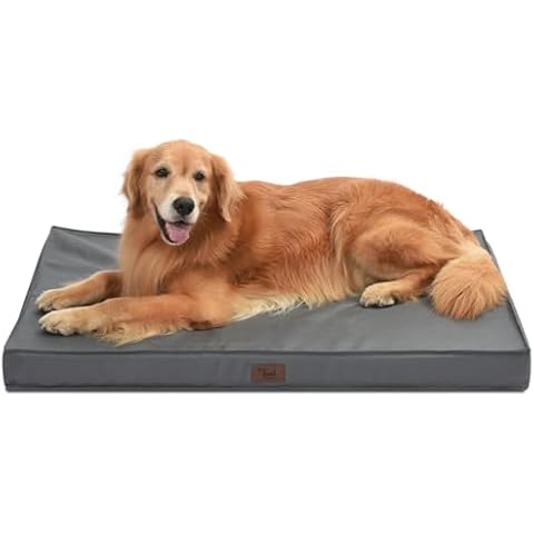 Tail Stories Outdoor Extra Large Dog Bed for Big Dogs, Waterproof Dog Bed for Large Dogs, Egg Crate Foam XL Dog Bed with Removable Washable Oxford Cooling Cover, Grey Cover