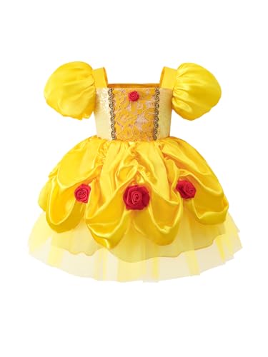 Toddlers Girls Dress Short Puffy Sleeves Lace Rose Accent Ruffled Tulle Skirt Soft Infant Halloween Christmas