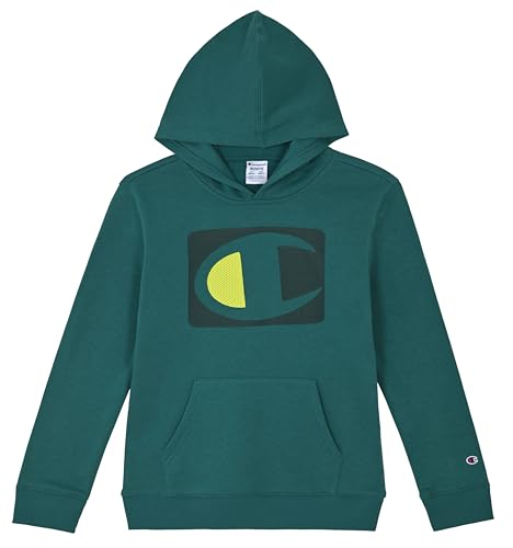 Image of Champion boys Graphic Hoodie Pullover Sweatshirt for Kids With Stylish Embellishments